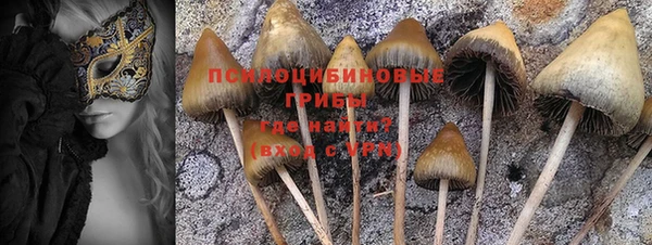молекула духа Абдулино