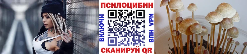 что такое   Электроугли  Галлюциногенные грибы MAGIC MUSHROOMS 
