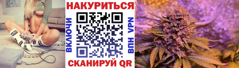 Бошки марихуана гибрид  где найти наркотики  Электроугли 